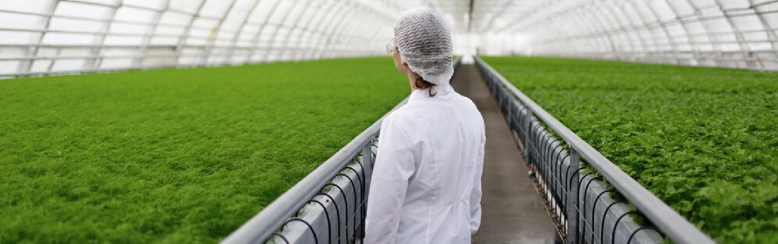 MG冰球突破(中国游)官方网站